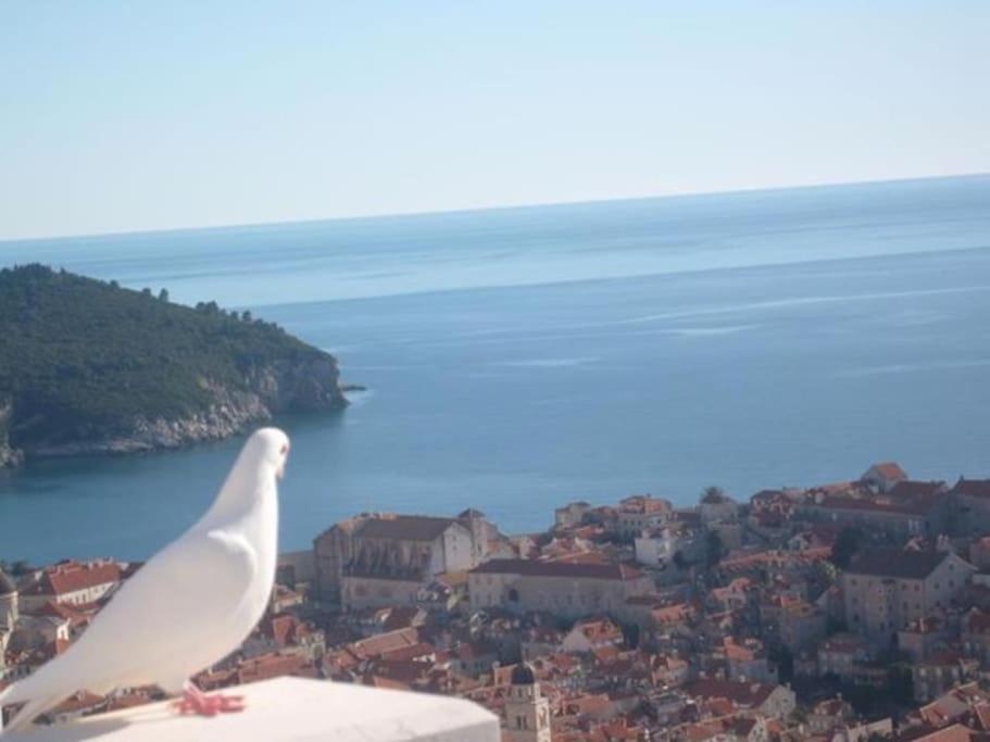 Romantic Ap,With Amazing View ดูบรอฟนิก ภายนอก รูปภาพ